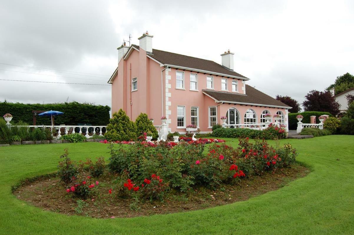 Ballingowan House Newcastle West Extérieur photo